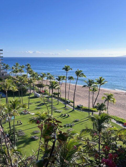 a view of a tropical beach